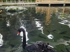 -南宫五洲植物乐园