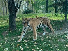 -北京野生动物园
