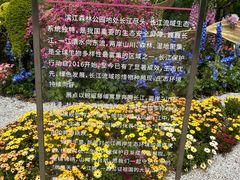 -上海滨江森林公园
