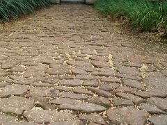 -秋霞圃