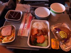 -谢列梅捷沃国际机场