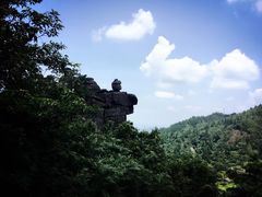 -梦幻奥陶纪景区