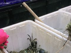 -蟹状元大闸蟹·年货·粽子(成都成华店)