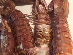 -海味当家·蒸锅海鲜(星海公园店)