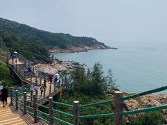 -广东惠东海龟国家级自然保护区