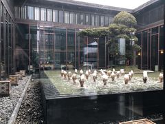 -上海崇明金茂凯悦酒店