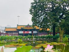 -莲花池公园