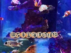 -长鹿旅游休博园