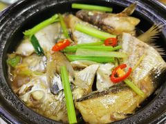 杂鱼煲-长平肥姐白粥·海鲜打冷