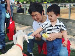 -前小桔亲子创意农场·草莓采摘·露营烧烤