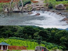-广州市石门国家森林公园