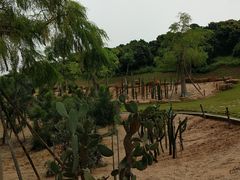 -东莞植物园