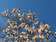 -鹫峰国家森林公园