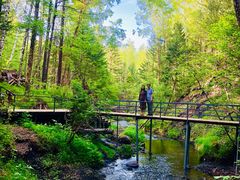 -峡谷浮石林景区