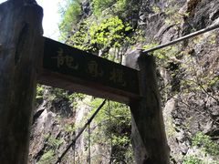 -牛背梁国家森林公园