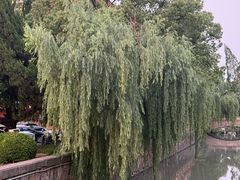 -上海交通大学(闵行校区)