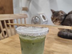 -楼上猫咖(罗湖店)