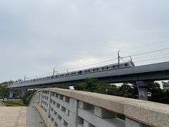 -宝安西湾红树林湿地公园