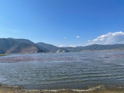 -纳帕海依拉草原