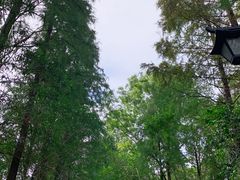 -狼山风景名胜区