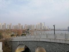 -金银湖国家城市湿地公园