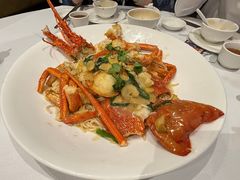 -食为先(Shark Fin)