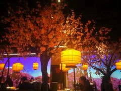 -绿茶餐厅(昌平悦荟店)