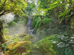 -Chom Cafe and Restaurant