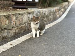 -云龙山