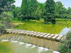 -桤木河湿地公园