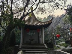 -雨花胜境