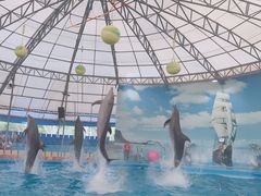 -尼莫海豚馆