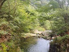 -东林大峡谷