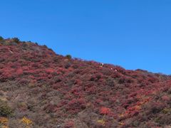 -水峪民俗村