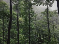 -藏龙百瀑风景区