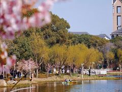 -新江湾城公园