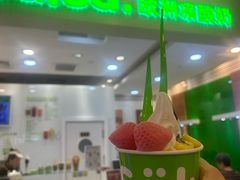-Salud撒露欧洲冻酸奶(蓝色港湾店)