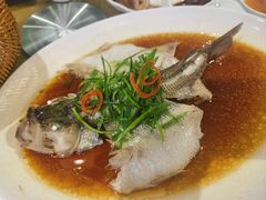 -老广酒楼(樱花店)