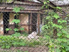 -合肥野生动物园