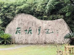 -荷塘月色湿地公园·向阳花洲