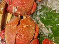 -圣丰索菲特·2 On 988 Café 自助餐厅