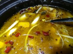 -云鱿记鱿鱼鸡·野生菌火锅(人民南路店)