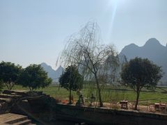-村上春树