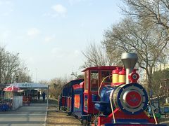 -永定河休闲森林公园