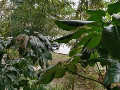 -春晖园度假酒店温泉