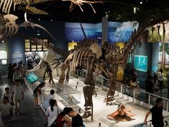 -国家自然博物馆