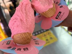 莓好时光-野人先生现做冰淇淋(北京顺义祥云小镇店)