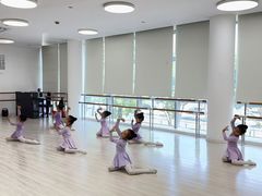 -小荧星艺校(浦东中环分校)