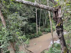 -野象谷景区