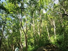 -白草畔自然风景区